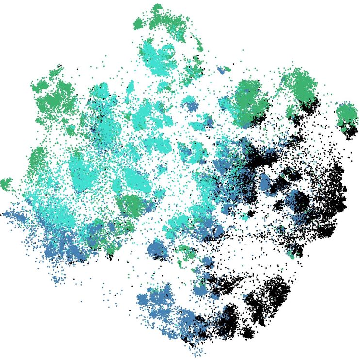 Neural Data Representation