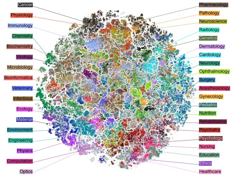Research Group "Representation Learning and Data Visualization"., Hertie AI